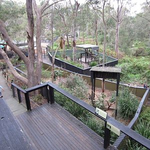Koala enclosures