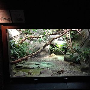 Reptile House