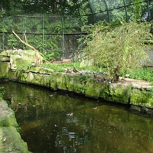 Coastal Aviary at Berlin Zoo, 31/08/11