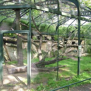 Ibis Aviary at Berlin Zoo, 31/08/11