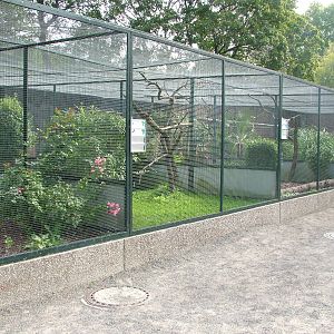 Pheasantry Aviaries at Berlin, 31/08/11