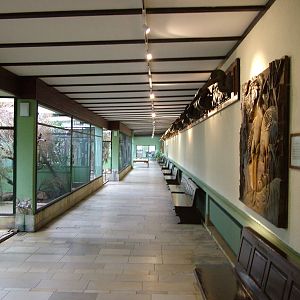 Pheasantry Interior at Berlin Zoo, 31/08/11