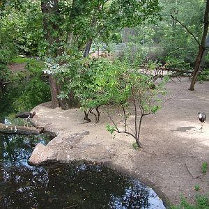 Flight Aviary at Berlin Zoo, 31/08/11