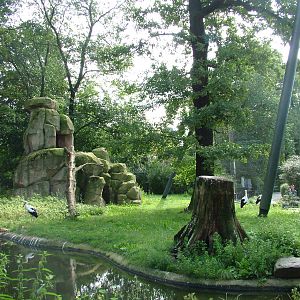 Flight Aviary at Berlin Zoo, 31/08/11