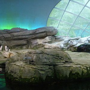Indoor Penguin Exhibit at Berlin Zoo, 31/08/11