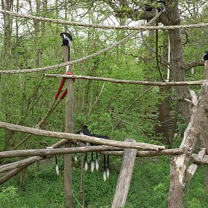Port Lympne Wild Animal Park 16th May 2010