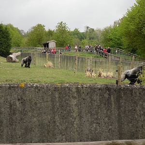 Port Lympne Wild Animal Park 16th May 2010