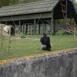 Port Lympne Wild Animal Park 16th May 2010
