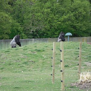 Port Lympne Wild Animal Park 16th May 2010
