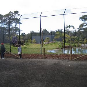 Sumatran Tiger enclosure