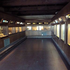 Reptiles + Invertebrates House