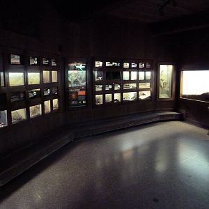 Reptiles + Invertebrates House