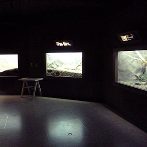 Reptiles + Invertebrates House