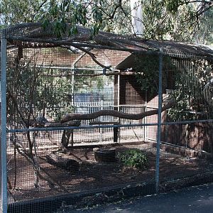 Cockatiel enclosure, Sept 2011