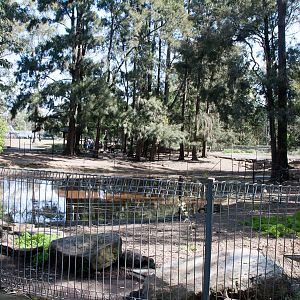 Emu enclosure, Sept 2011