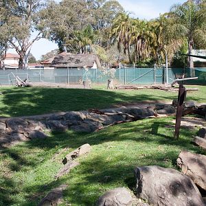 Kangaroo enclosure, Sept 2011