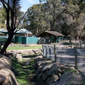 Kangaroo enclosure, Sept 2011
