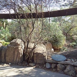 White-Tailed Deer/Wild Turkey Exhibit