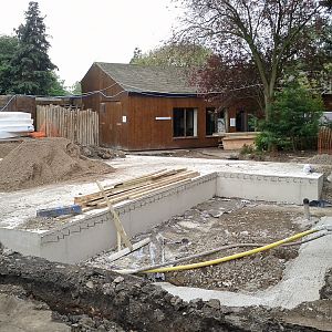 Giant Otter Development - 25/09/2011