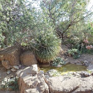 White-Tailed Deer/Wild Turkey Exhibit