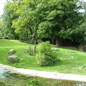 Australian Paddock at Berlin Zoo, 31/08/11