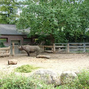 Second Rhino House at Berlin Zoo, 31/08/11