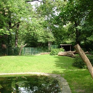 Okapi and Duiker Paddock at Berlin Zoo, 31/08/11