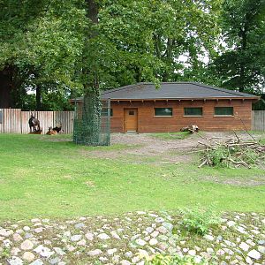 Antelope Exhibit at Berlin Zoo, 31/08/11