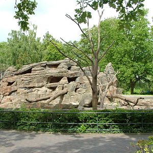 Baboon Exhibit at Berlin Zoo, 31/08/11