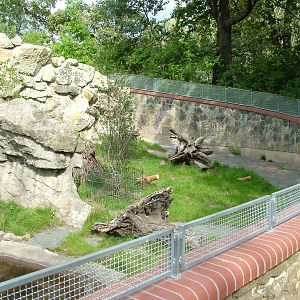 Porcupine Exhibit at Berlin Zoo, 31/08/11