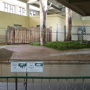 Elephant House Interior at Berlin Zoo, 31/08/11