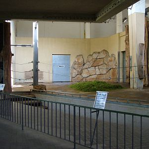 Elephant House Interior at Berlin Zoo, 31/08/11