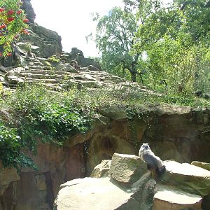 Marmot and Ibex Exhibits at Berlin Zoo, 31/08/11