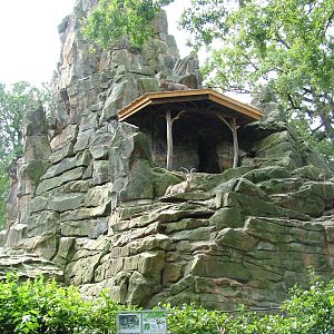 Ibex Exhibit at Berlin Zoo, 31/08/11
