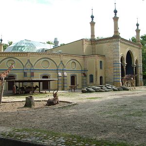 Giraffe House at Berlin Zoo, 31/08/11