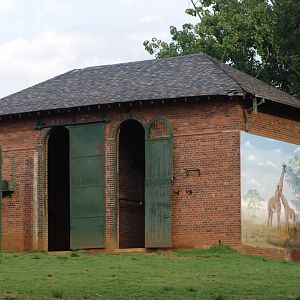Giraffe's stables