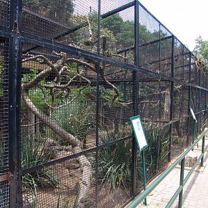 Owls' aviaries