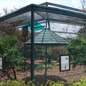 Aviary