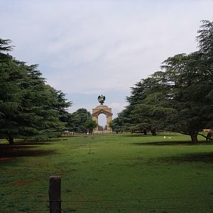 Hartmann's Mountain Zebra's (Equus zebra hartmannae) exhibit
