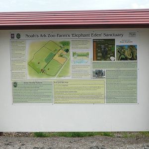 Plans for Elephant Eden .