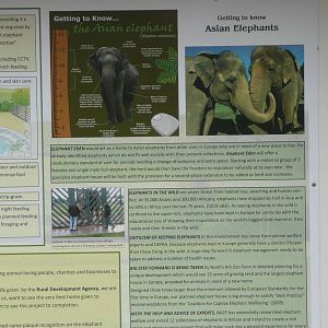 Plans for Elephant Eden