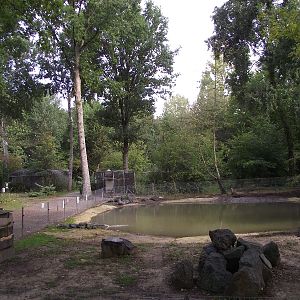 Carolin Duck Pool