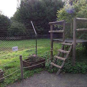 Dingo Photography Platform