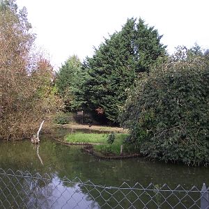 Waterfowl Enclosure