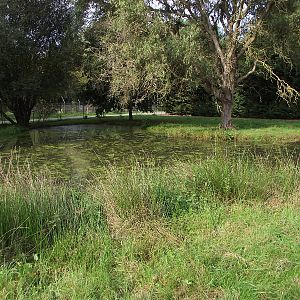 Crane/Goose Enclosure #1