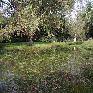 Crane/Goose Enclosure #2