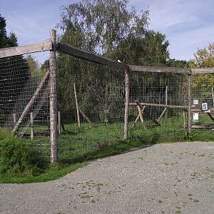 Serval Enclosure seen from Mini Farm