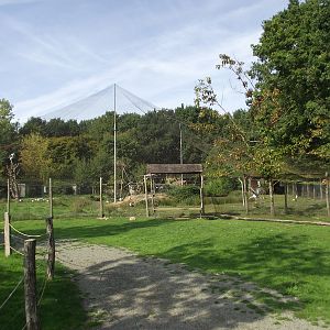 African Aviary seen from Mini Farm