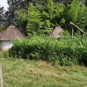 Walkthrough African Aviary #2