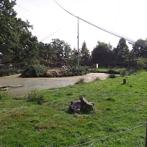 Walkthrough African Aviary #3